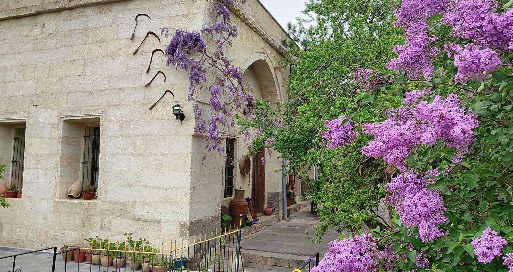 Armesos Cave Hotel 어굽 외부 사진